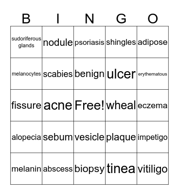 Integumentary System Bingo Card