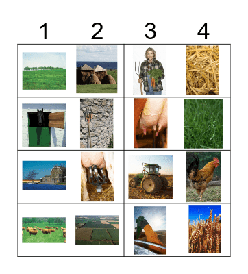 Boerderij 4x4 Bingo Card