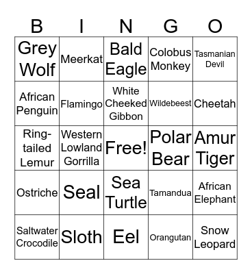 Toledo Zoo - BINGO Card