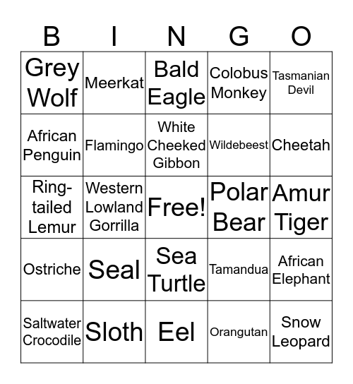 Toledo Zoo - BINGO Card