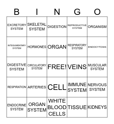 ORGANIZATION OF LIFE  Bingo Card