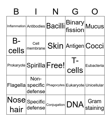 Bacteria BINGO Card