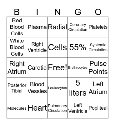 Cardiovascular System  Bingo Card