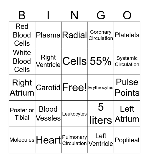 Cardiovascular System  Bingo Card