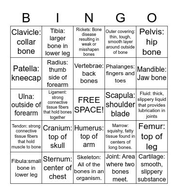 Skeletal System Bingo Card