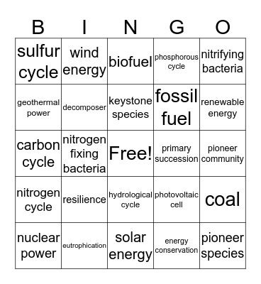 Nat Ecosystem Change and Energy Bingo Card
