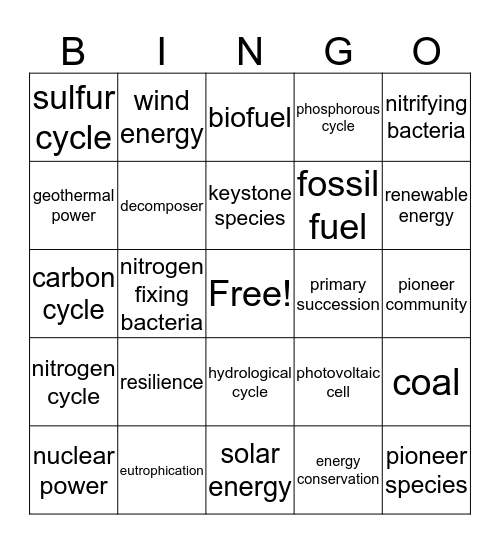 Nat Ecosystem Change and Energy Bingo Card