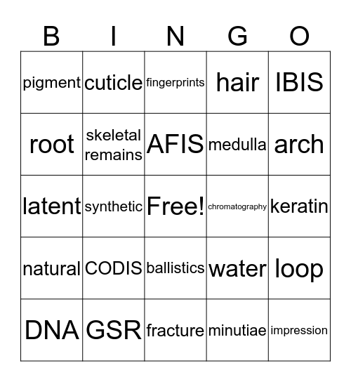 Physical Evidence Bingo Card