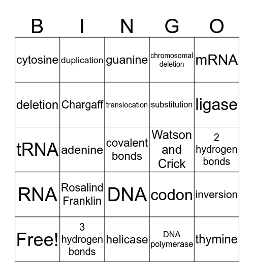 DNA & RNA Bingo Card