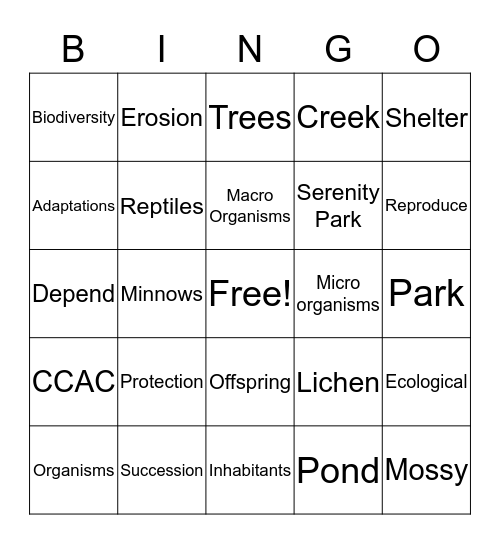 Serenity Park Bingo! Bingo Card