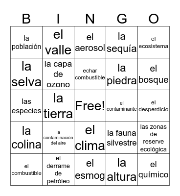 Medio Ambiente Bingo Card