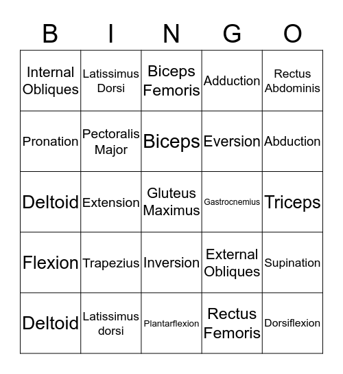 Muscles and Movements Bingo Card