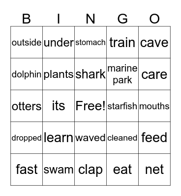 Ottie and the Star   &   At a Marine Park Bingo Card