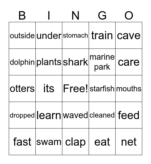 Ottie and the Star   &   At a Marine Park Bingo Card