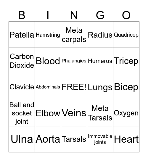 Health  Bingo Card