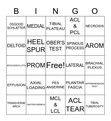 ASM - FINAL EXAM Bingo Card