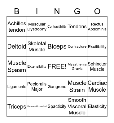 Muscular System Bingo Card