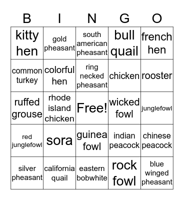 Quails Bingo Card