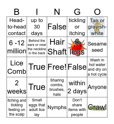 Head Lice Bingo Card