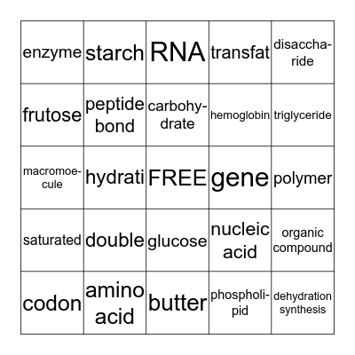 Biology Chapter 3 Bingo Card