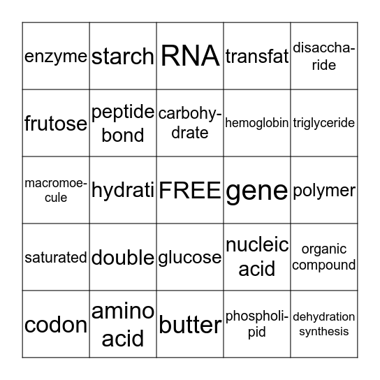 Biology Chapter 3 Bingo Card