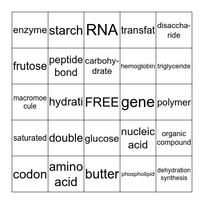 Biology Chapter 3 Bingo Card