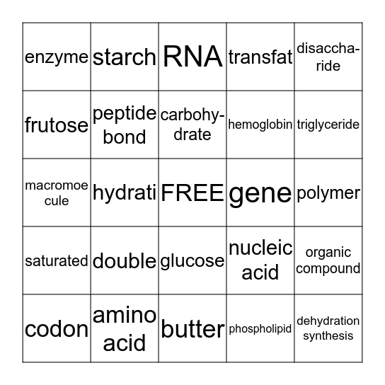 Biology Chapter 3 Bingo Card