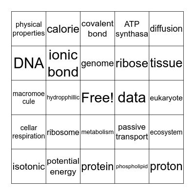 Biology Chapter 3 Bingo Card