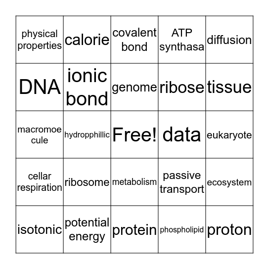 Biology Chapter 3 Bingo Card