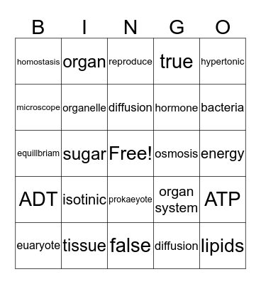 Biology Chapter 4 Bingo Card