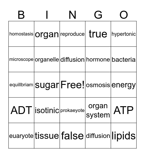 Biology Chapter 4 Bingo Card