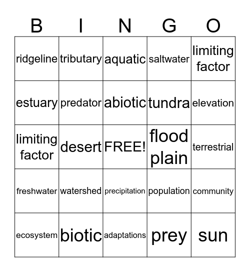 Science Words Bingo Card