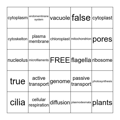 Biology Chapter 5 Bingo Card