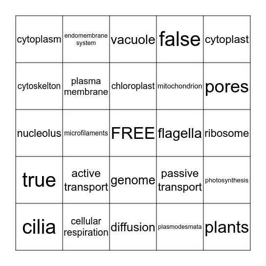 Biology Chapter 5 Bingo Card