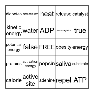 Biology Chapter 6 Bingo Card