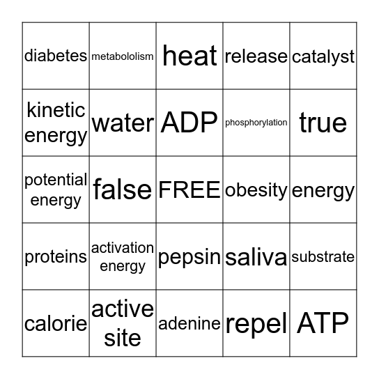 Biology Chapter 6 Bingo Card