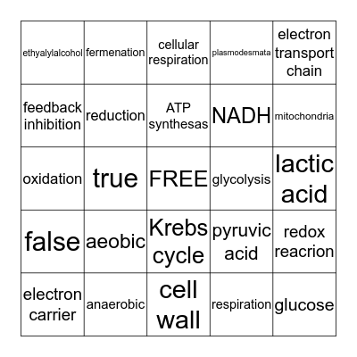 Biology Chapter 7 Bingo Card
