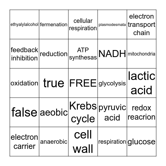 Biology Chapter 7 Bingo Card