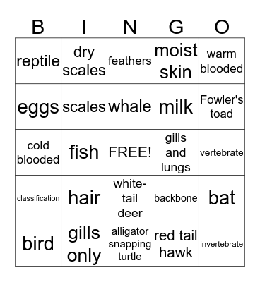 Animal Classification Bingo Card
