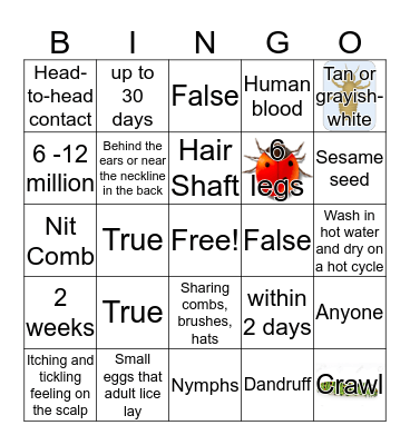 Head Lice Bingo Card