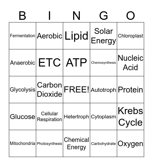 CR and Photosynthesis BINGO!! Bingo Card