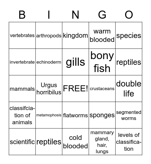 Chapter 3 Bingo Card