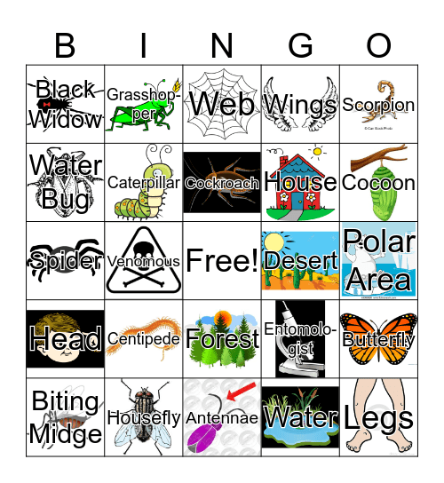 Bugs! Bingo Card