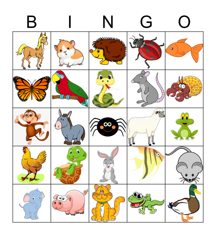 Pets! Bingo Card