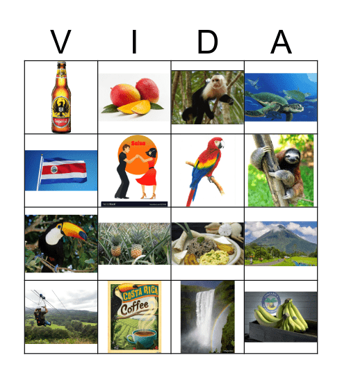 COSTA RICA BINGO Card