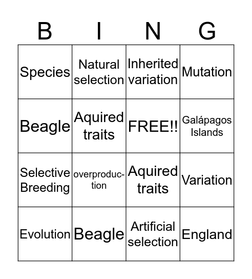Theory of evolution by natural selection  Bingo Card