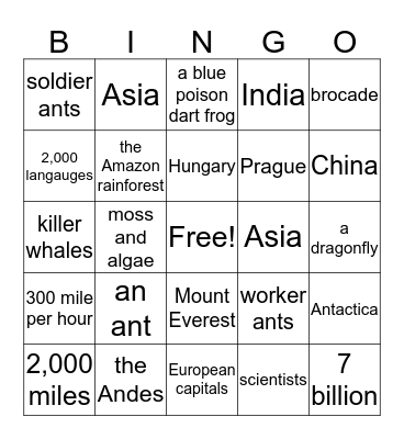 Bingo of Knowledge II Bingo Card