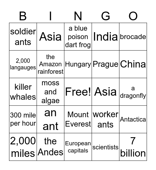 Bingo of Knowledge II Bingo Card