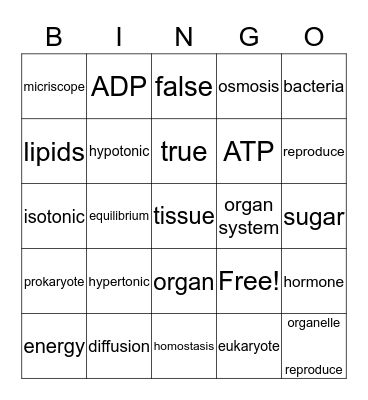Biology Bingo Chapter Bingo Card
