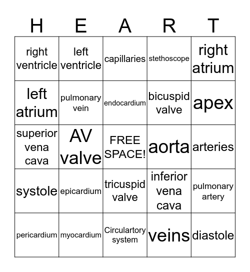 Circulatory System Bingo Card